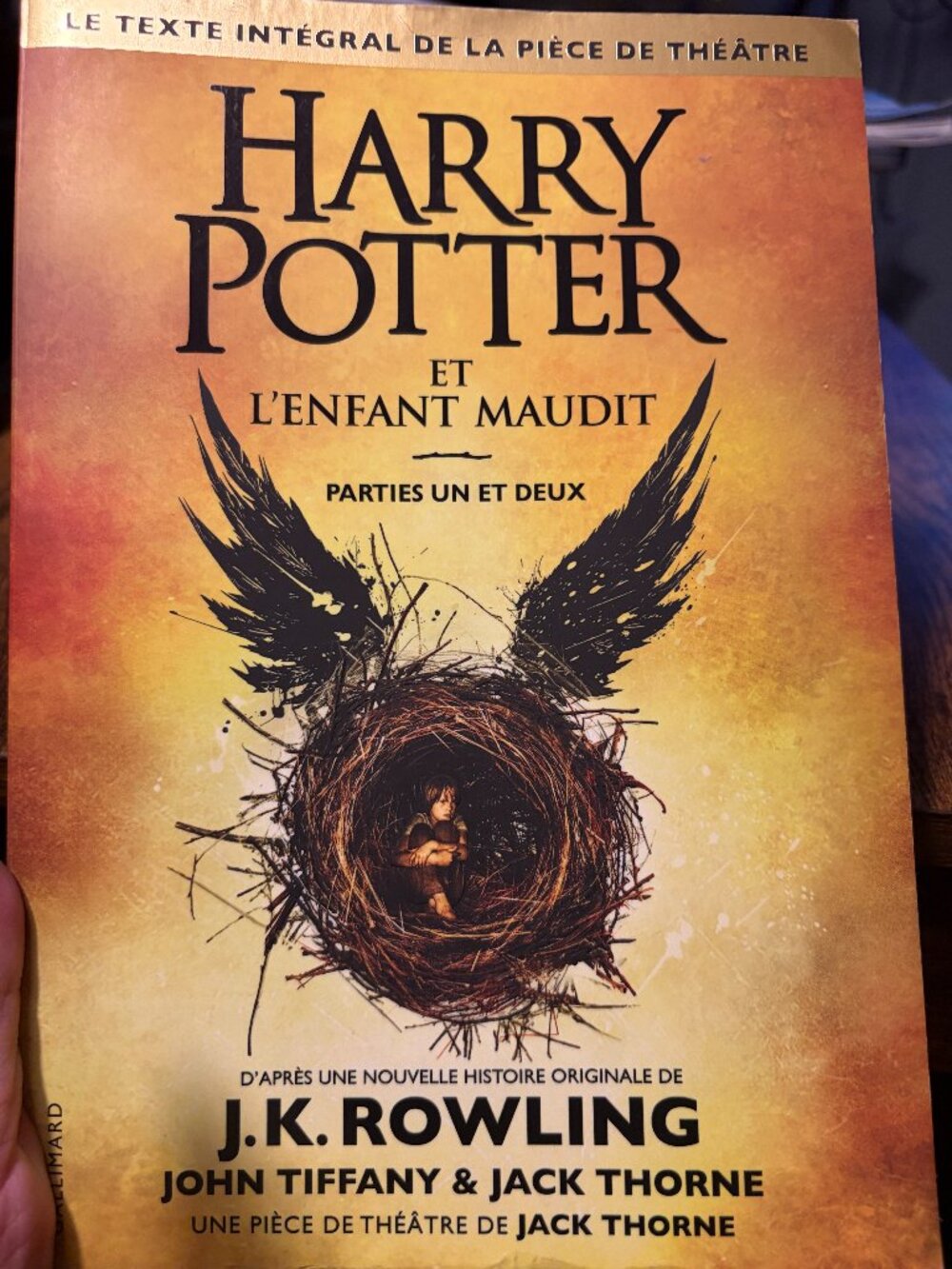 ⚡ FRENCH Harry Potter Script: Harry Potter Et L'Enfant Maudit (Gallimard)